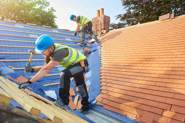 Best Roof Maintenance and Cleaning  in Lebanon, NH